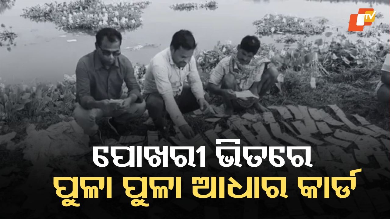 Aadhaar Card Scandal: ପୋଖରୀରୁ ମିଳିଥିବା ଏକ ବସ୍ତାରେ ଶହ ଶହ ଆଧାର କାର୍ଡ, ଆସିଲା କେଉଁଠୁ ?