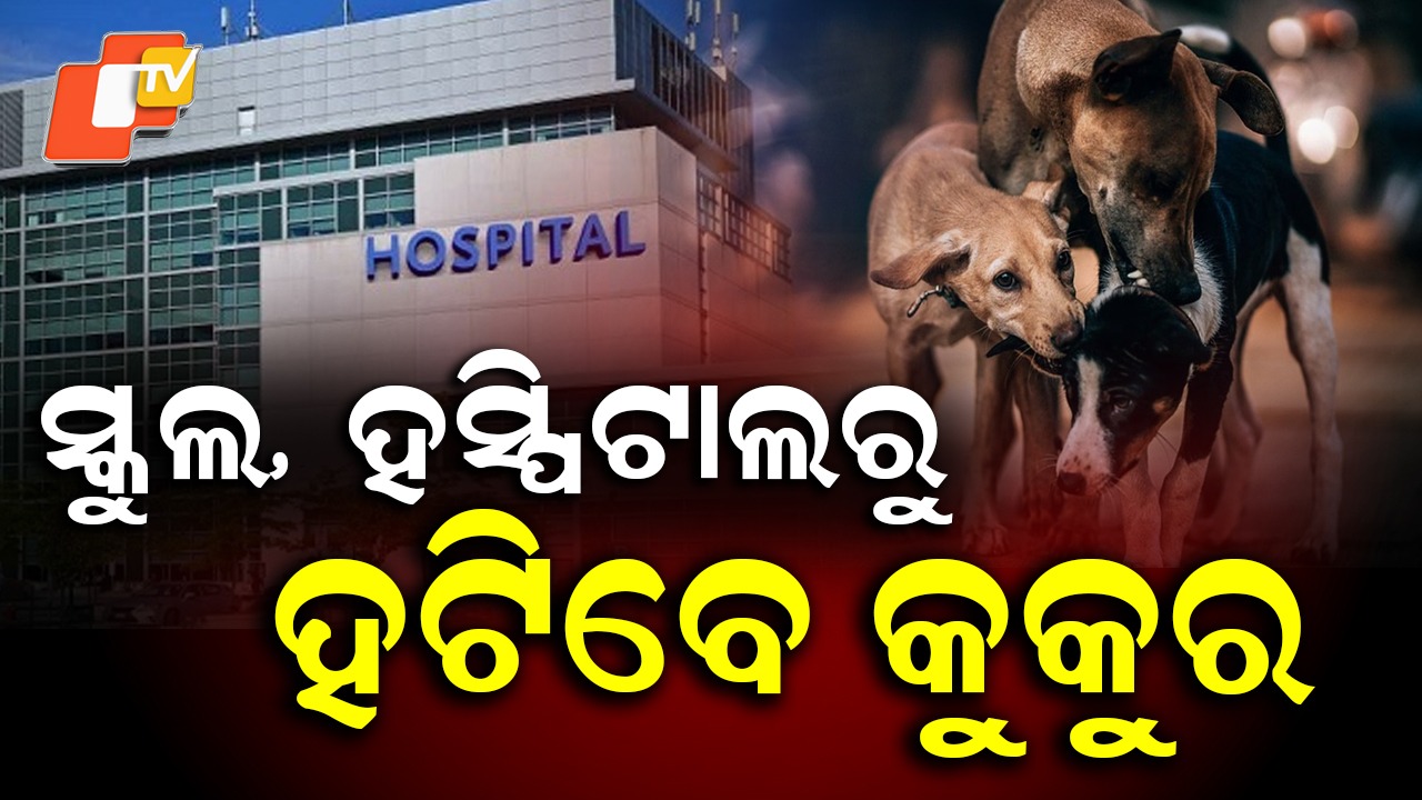 Clear Stray Dogs from Schools, Hospitals, and Stations: ସ୍କୁଲ, ହସ୍ପିଟାଲ ଏବଂ ରେଳ ଷ୍ଟେସନରୁ ବୁଲା କୁକୁରଙ୍କୁ ହଟାଅ: ସୁପ୍ରିମକୋର୍ଟ
