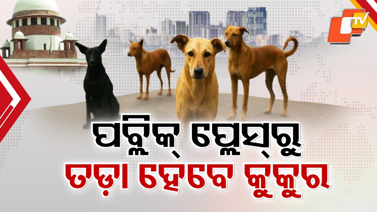 Supreme Court Cracks Down: ବୁଲା କୁକୁରଙ୍କୁ ନେଇ ସୁପ୍ରିମକୋର୍ଟଙ୍କ କଡ଼ା ନିର୍ଦ୍ଦେଶ: ଶିକ୍ଷାନୁଷ୍ଠାନ, ହସ୍ପିଟାଲ ପରିସରରୁ ହଟିବେ ବୁଲା କୁକୁର