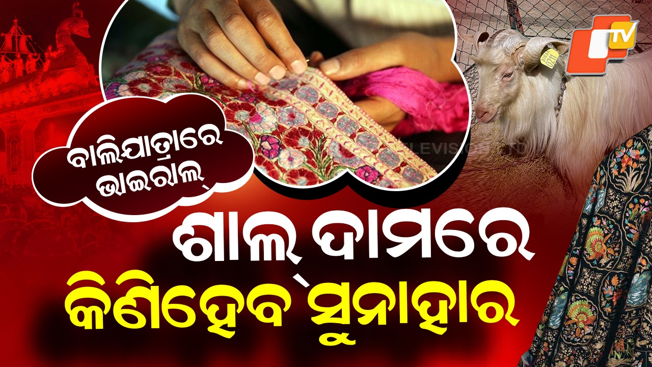 Kashmiri Shawl: ଦାମ ଶୁଣିଲେ ଉଡ଼ିଯାଉଛି ହୋସ୍ , ଗୋଟିଏ ଶାଲ୍ ମୂଲ୍ୟରେ କିଣିହେବ ସୁନାହାର