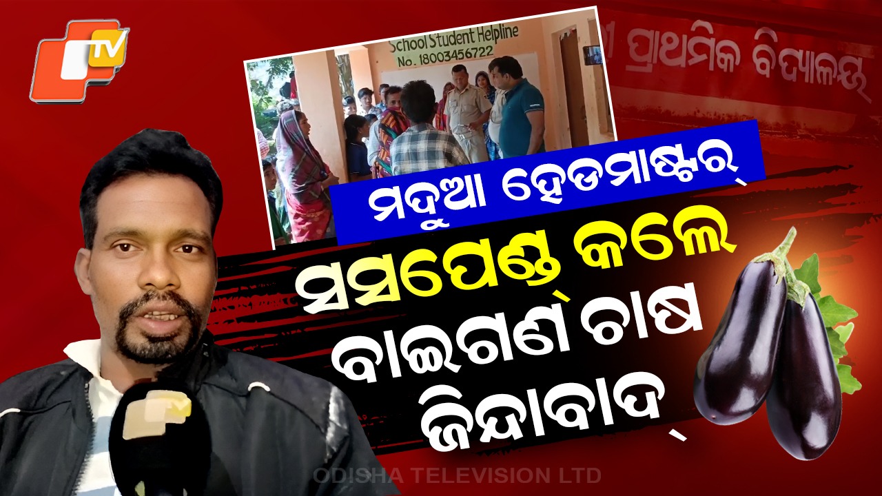 Drunk Headmaster: ମଦୁଆ ହେଡମାଷ୍ଟରଙ୍କ ଅଜବ କଥା, ସସପେଣ୍ଡ୍ କଲେ ...ବାଇଗଣ ଚାଷ ଜିନ୍ଦାବାଦ୍