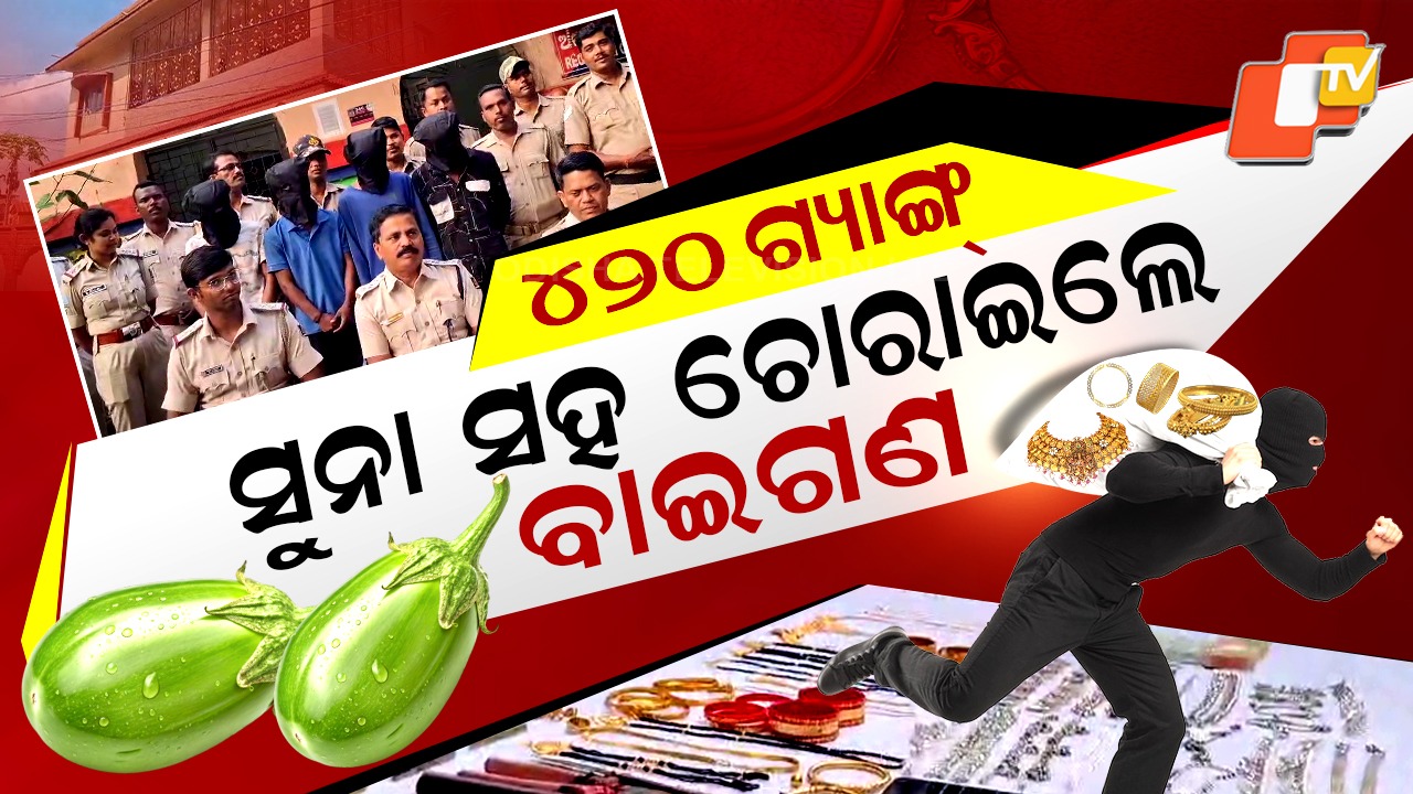 Teen Looters Nabbed:  ଚୋରି କରିବାକୁ ଘରେ ପଶିଗଲେ , ସୁନା ରୂପା ସହ ବଗିଚାରୁ ବାଇଗଣ ଚୋରାଇଲେ