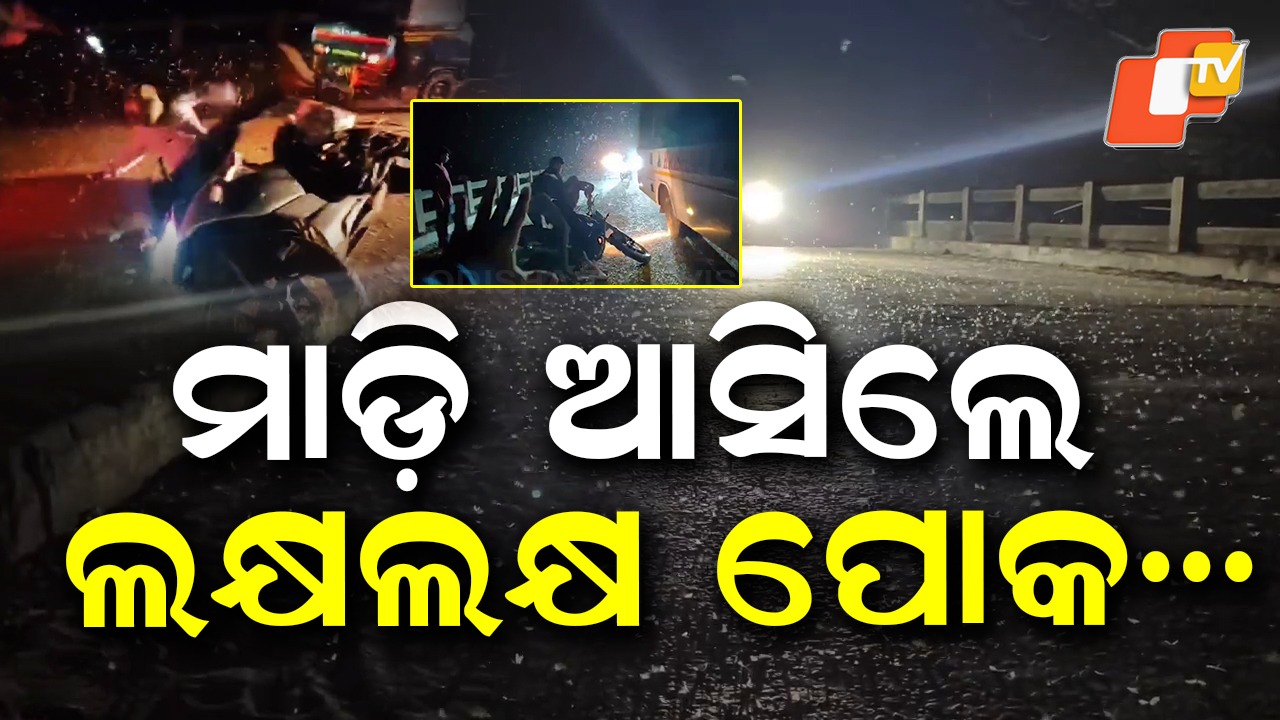 Viral Video: ବ୍ରିଜ୍ ଉପରେ ପୋକ ଆତଙ୍କ... ତଳେ ପଡିଗଲେ ଲୋକେ