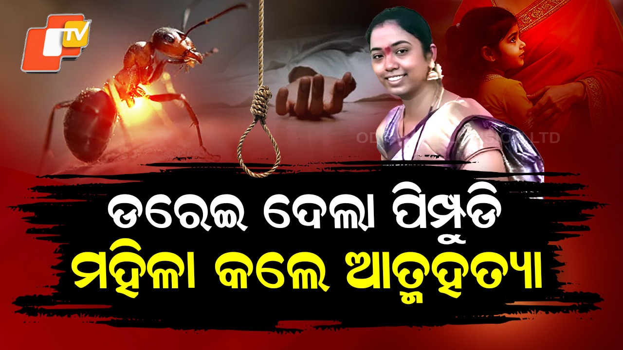Fear of Ants Leads to Heartbreaking Decision: ପିମ୍ପୁଡିକୁ ଡରି ୩ ବର୍ଷ ଝିଅର ମା’ ନେଲେ ଚରମ ନିଷ୍ପତ୍ତି, ବିରଳ ଘଟଣା