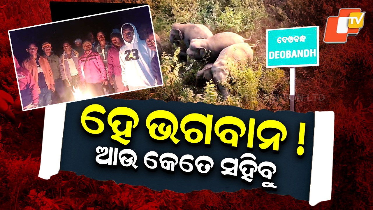 32 Elephants Wreak Havoc: ହାତୀ ପାଇଁ ରାତି ଉଜାଗର ଚାଷୀ , ଦଳ ଦଳ ହୋଇ ବୁଲୁଛନ୍ତି ଗାଁରୁ ଗାଁ