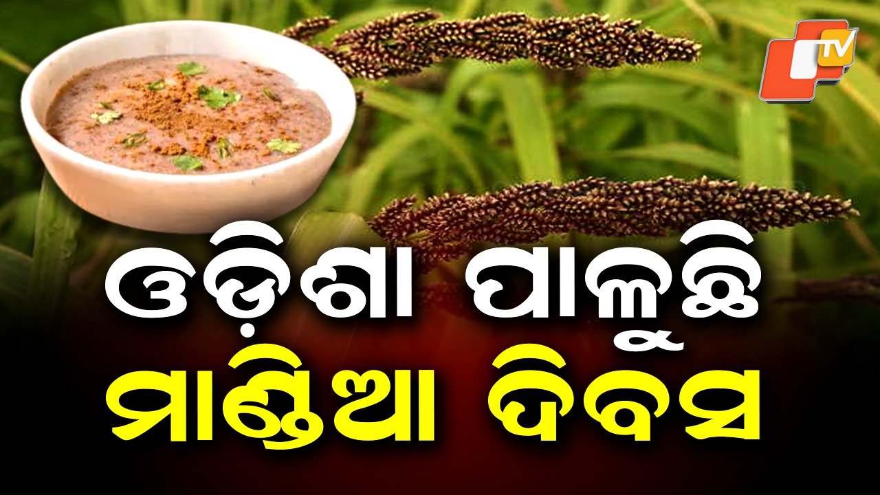 Millet Day: ଦେଶର ପ୍ରଥମ ରାଜ୍ୟ ଭାବେ ଓଡ଼ିଶା ପାଳୁଛି ମାଣ୍ଡିଆ ଦିବସ