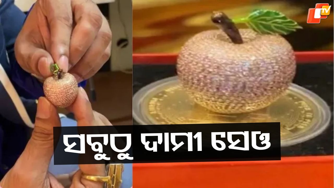 Not For Biting: ୧୦ କୋଟି ଟଙ୍କାର ସେଓ , କିଣିବା ପାଇଁ କରିବାକୁ ପଡ଼ିବ ଲୋନ୍ ...