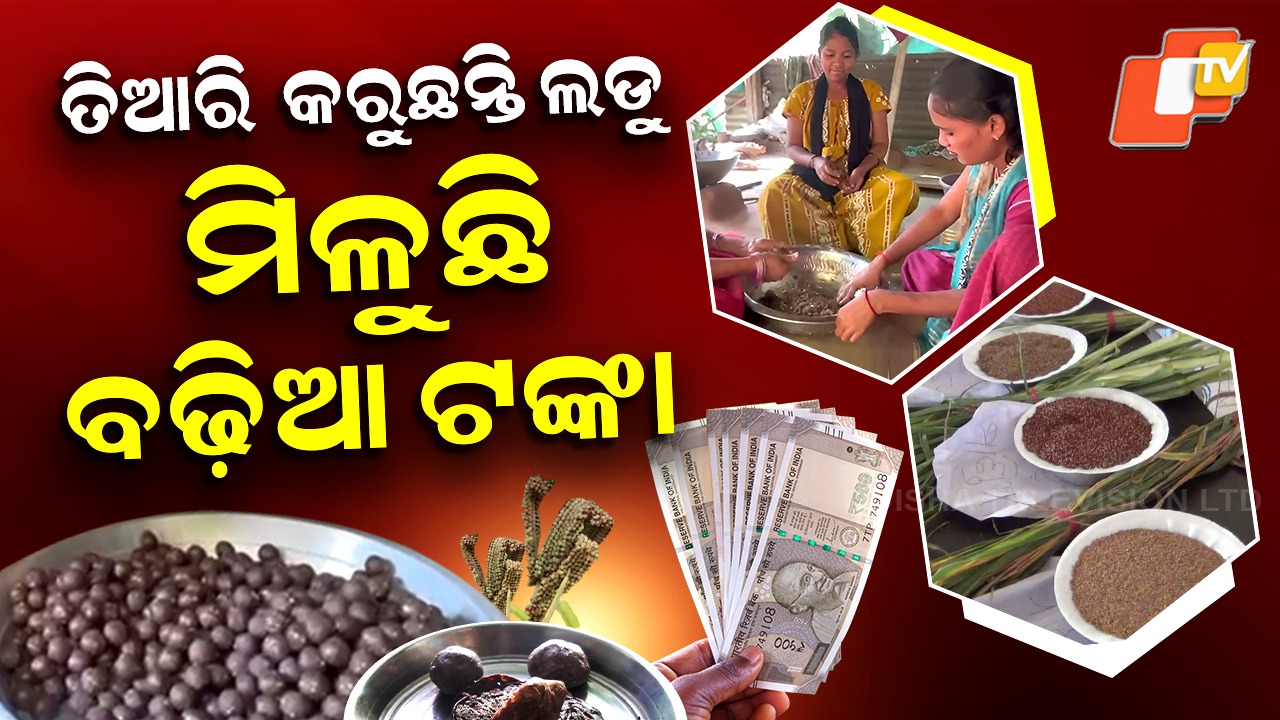 Millet Mission: ମାଣ୍ଡିଆ ଦେଉଛି ରୋଜଗାର, ମହିଳା ପାଉଛନ୍ତି ବଢ଼ିଆ ଟଙ୍କା