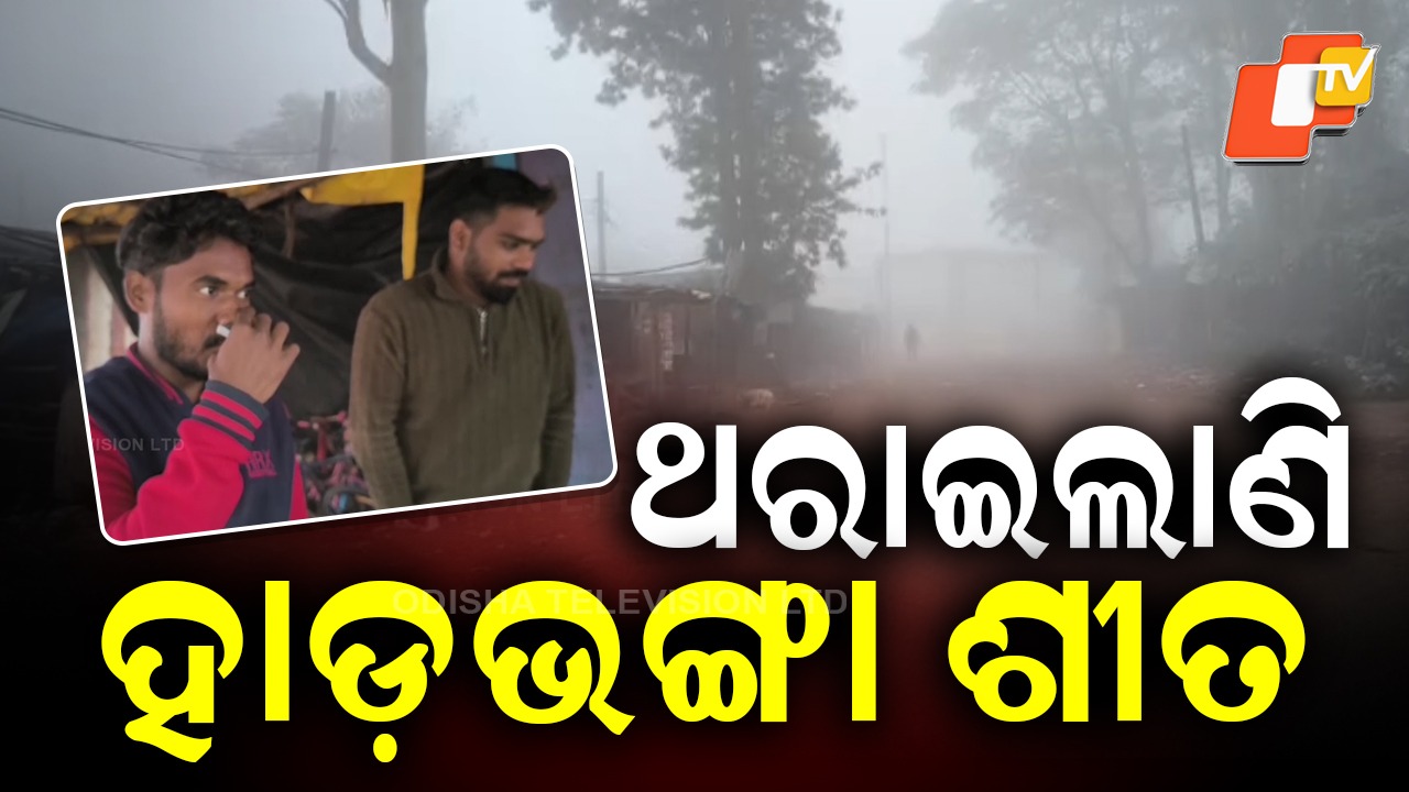 Bone-Chilling Cold: ଘନ କୁହୁଡି ସାଙ୍ଗକୁ ହାଡ ଭଙ୍ଗା ଶୀତ: ୬ ଡିଗ୍ରୀକୁ ଖସିଲା ପାରଦ