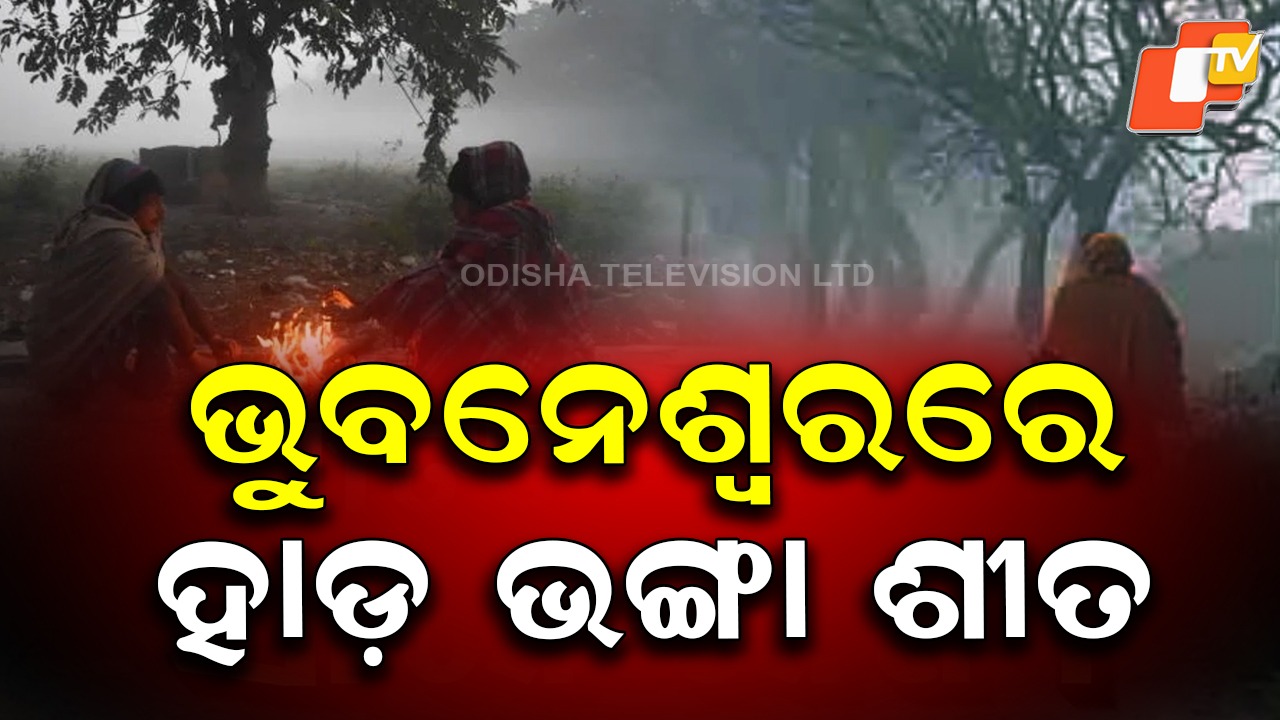 Cold wave grips Odisha : ରାଜଧାନୀ ଭୁବନେଶ୍ୱରରେ ହାଡ଼ ଭଙ୍ଗା ଶୀତ, ୧୨.୯ ଡିଗ୍ରୀକୁ ଖସିଲା ତାପମାତ୍ରା