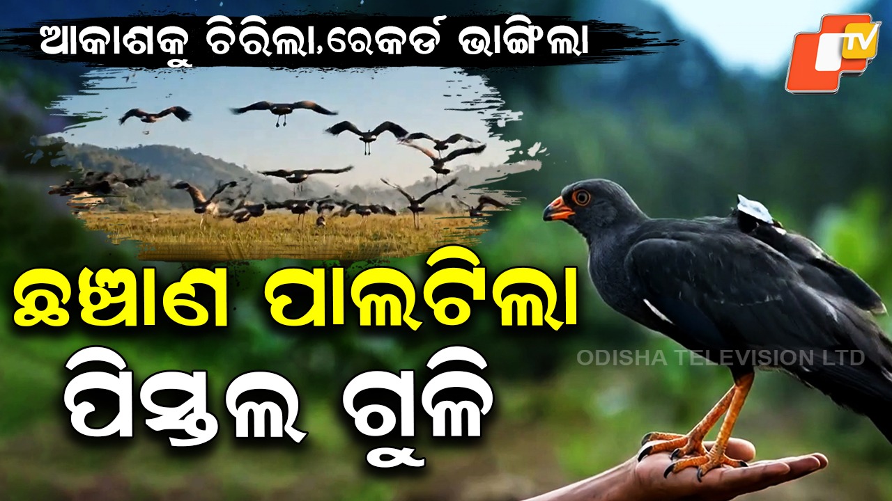 Non-stop Flight Across Arabian Sea: ଆକାଶର ଛାତିକୁ ଚିରିଲା ଛଞ୍ଚାଣ,୫ ଦିନରେ ଉଡ଼ିଲା ୫ ହଜାର ୪ ଶହ କିମି
