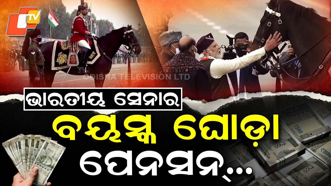 Iconic Army Horse: ରାଷ୍ଟ୍ରପତିଙ୍କ ଅଙ୍ଗରକ୍ଷକ ଘୋଡ଼ା, ଅବସର ପରେ ମର୍ଯ୍ୟାଦାପୂର୍ଣ୍ଣ ଜୀବନ...ପଢ଼ନ୍ତୁ ଗୋଟିଏ କ୍ଲିକରେ
