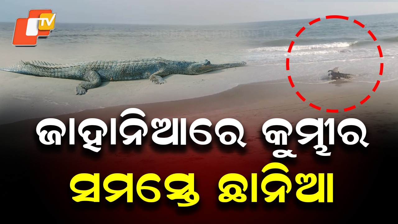 Crocodile Spotted: ସମୁଦ୍ରକୂଳରେ ବୁଲୁଛି କୁମ୍ଭୀର, ସୋସିଆଲ ମିଡିଆରେ ଭାଇରାଲ ହେଉଛି ଭିଡିଓ