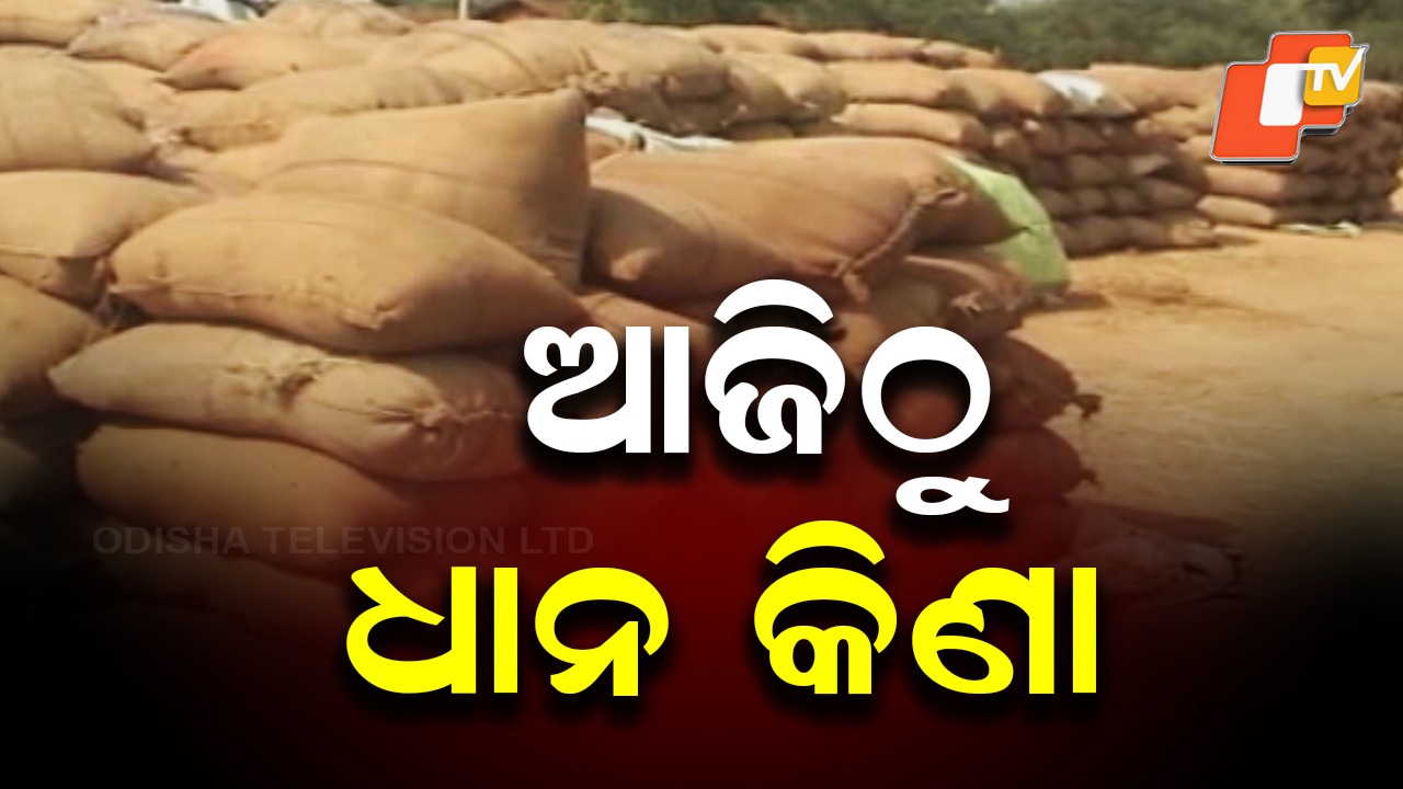 Paddy Procurement: ଆଜିଠୁ ରାଜ୍ୟରେ ଧାନ କିଣା, ନଜର ରଖିବାକୁ ଅଧିକାରୀଙ୍କୁ ନିର୍ଦ୍ଦେଶ