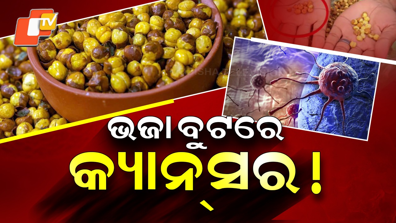 Auramine Dye in Roasted Chana: ଭଜା ବୁଟ ଖାଉଥିଲେ ସାବଧାନ! ହୋଇପାରେ କ୍ୟାନ୍ସର... ଆସିଲା ସାଂଘାତିକ ତଥ୍ୟ