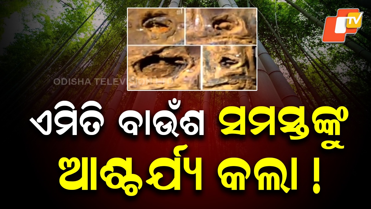 Scientists Discover : ମଣିପୁର ଇମ୍ଫାଲ ଘାଟିରୁ ଯାହା ମିଳିଲା ସମସ୍ତଙ୍କୁ ଆଶ୍ଚର୍ଯ୍ୟ କଲା