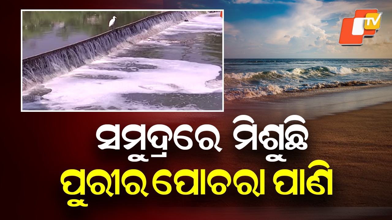 Puri Sea Turns Polluted: ବିଷାକ୍ତ ହେଉଛି ପୁରୀ ସମୁଦ୍ର ପାଣି , ବଢୁଛି ବିପଦ !