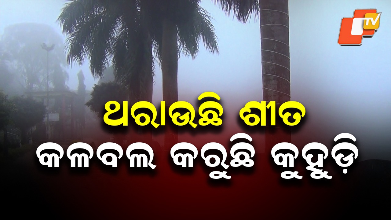 Cold Wave and Fog Return: ଡିସେମ୍ବର ୫ ପରେ ପୁଣି ବଢିବ ଶୀତ , ୩୦ରୁ ୨ ମଧ୍ୟରେ ଦକ୍ଷିଣ ଓଡ଼ିଶାରେ କୋହଲା ପାଗ