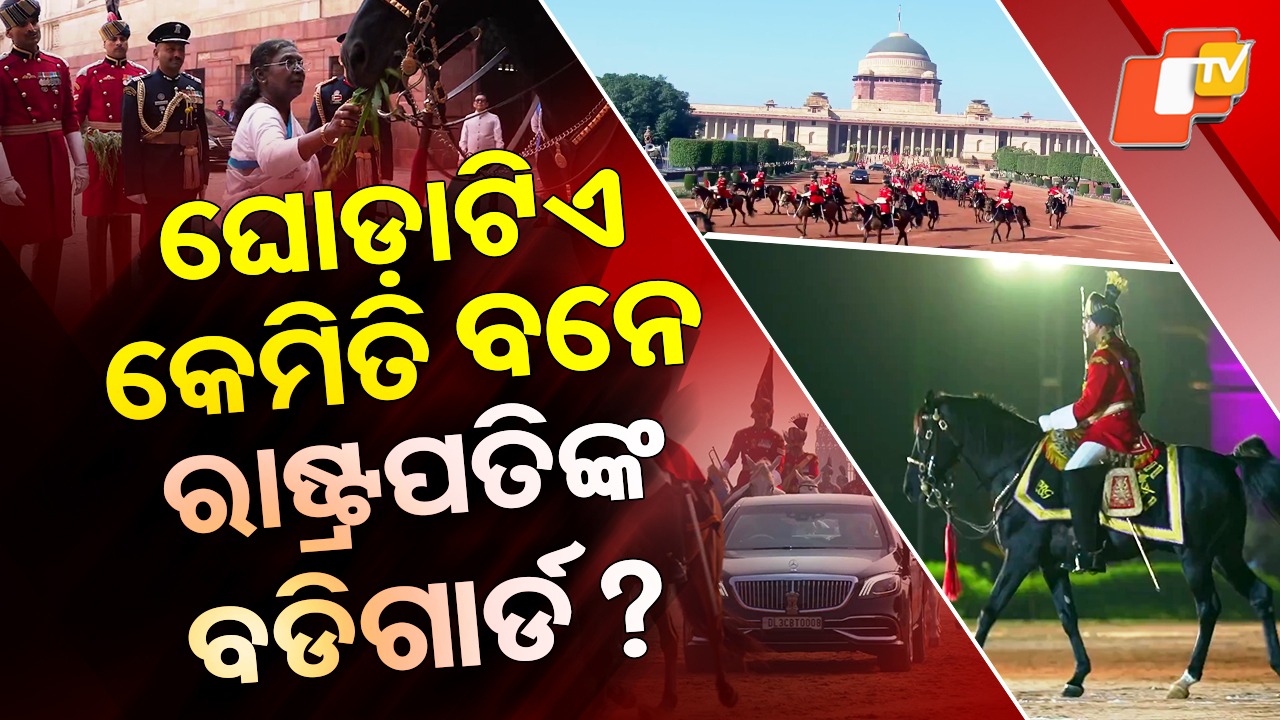 President’s Bodyguard: ଭାରତୀୟ ରାଷ୍ଟ୍ରପତିଙ୍କ ଅଙ୍ଗରକ୍ଷୀ ଘୋଡ଼ା, ସାଧାରଣ ଘୋଡ଼ା ଠାରୁ ଗୁଣରେ ଅନନ୍ୟ