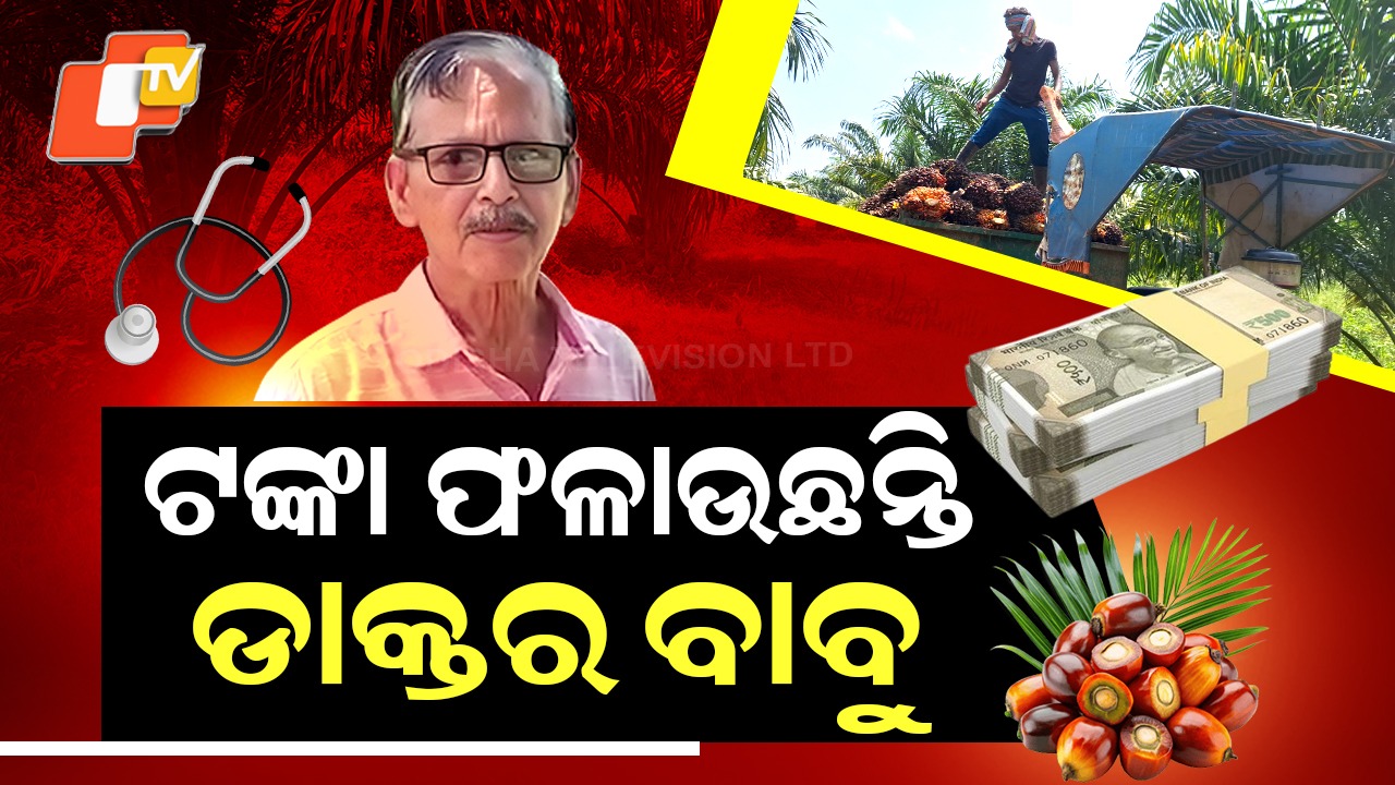 Retired CDMO Earns Lakhs: ବର୍ଷକୁ ଲକ୍ଷ ଲକ୍ଷ ରୋଜଗାର , ଥରେ ଲଗାଇଲେ ଫଳୁଛି ବର୍ଷା ସାରା