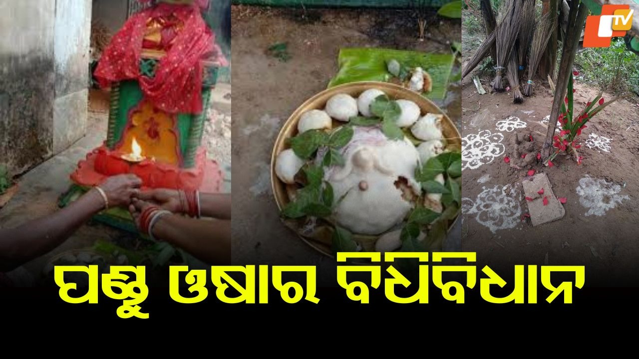 Pandu Osha: ବାନ୍ଧି ନେଇଥିବା ପୁଅକୁ ଫେରାଇ ଦେଲେ ଯମରାଜ, ଏହି ଓଷାକୁ ଅଧାରୁ ଛାଡ଼ିଲେ ରାଗରେ ଏମିତି କରନ୍ତି ଯମ