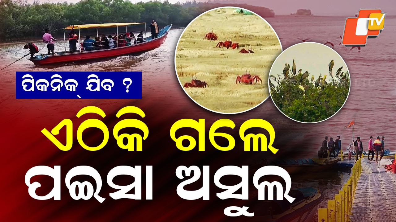 Nature Spot Draws Tourists: ପ୍ରକୃତି ଏଠି ମନ କିଣୁଛି, ପର୍ଯ୍ୟଟକଙ୍କୁ ବାନ୍ଧି ରଖୁଛି