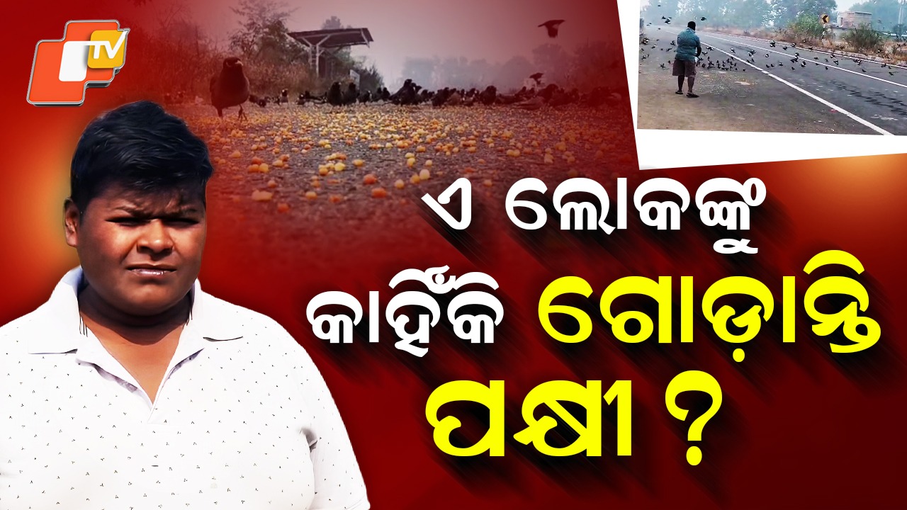 Bond with Nature: ଏ ଲୋକଙ୍କୁ କାହିଁକି ଗୋଡ଼ାନ୍ତି ପକ୍ଷୀ ?  ଡାକିଦେଲେ କିଚିରି ମିଚିର ଶବ୍ଦ କରି ଚାରିପଟେ ଉଡିବୁଲନ୍ତି