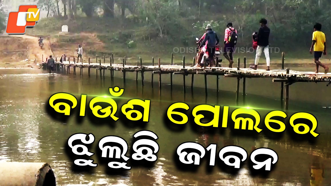 Villagers Use Bamboo Bridge: ତଳେ ନଦୀ ପାଣିର ସୁଅ, ଆଉ ଉପରେ ବାଉଁଶ ପୋଲ