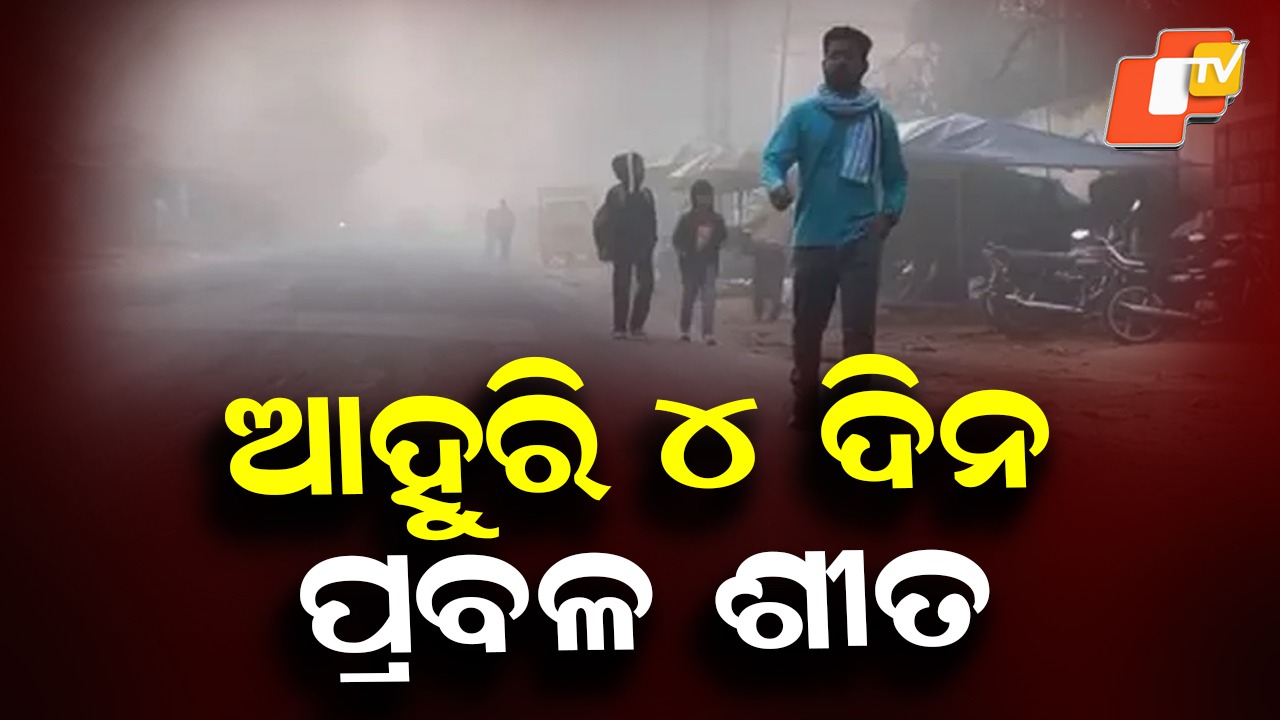 Cold Wave: କଲବଲ କରୁଛି ଘନ କୁହୁଡ଼ି, ନୂଆବର୍ଷ ଯାଏଁ ପ୍ରବଳ ଶୀତ