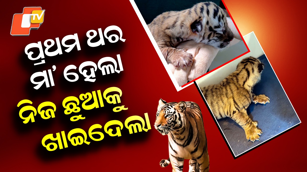 Tragic Incident at Nandankanan: ମା’ ହେଇଗଲା ପିଶାଚୀ; ଜନ୍ମଦେଇ ନିଜ ଛୁଆକୁ ଖାଇଦେଲା
