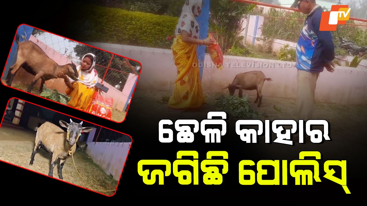 Police Guard a Goat : ଛେଳିକୁ ନେଇ ଝଗଡା; ଥାନାରେ ଜଗିଛି ପୋଲିସ