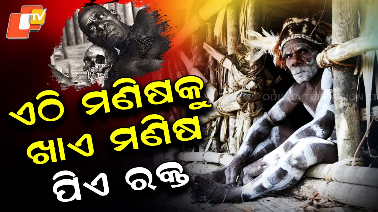 The Asmat Tribe: ଏମିତି ଜନଜାତି ମଣିଷ ମାଂସ ଖାଆନ୍ତି, ଖପୁରୀରେ ରୋଷେଇ କରନ୍ତି