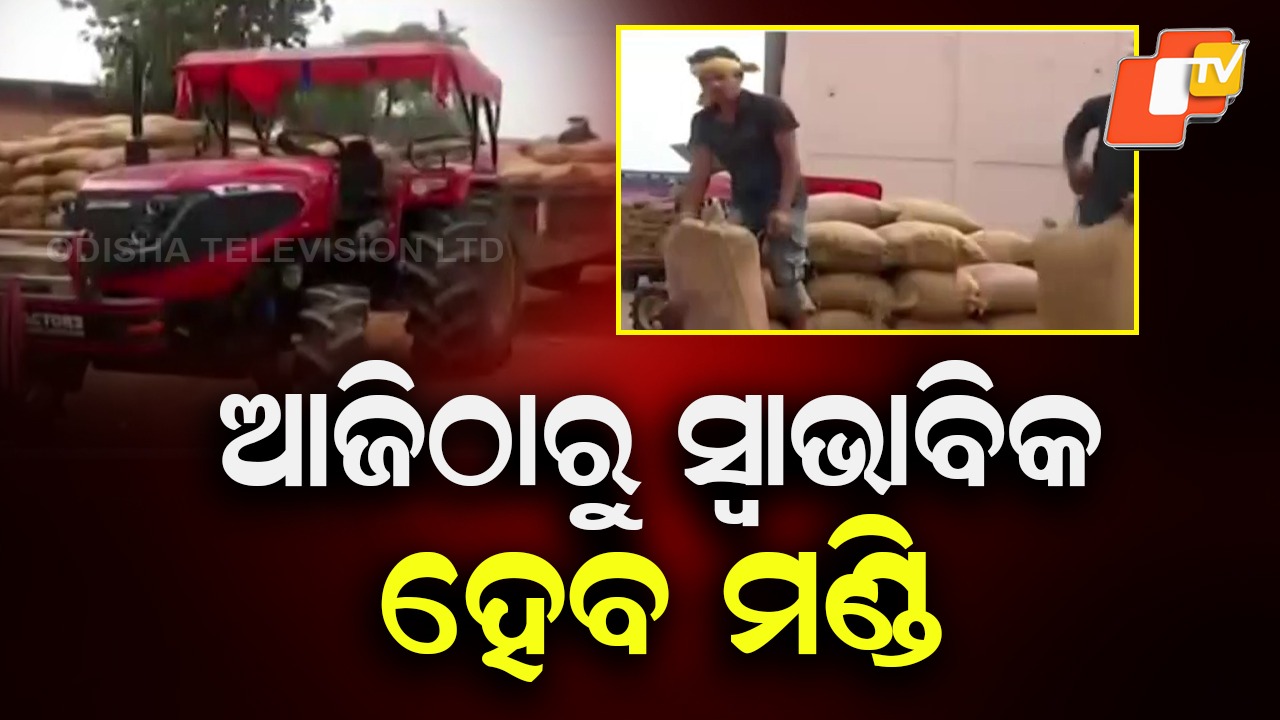 Paddy Lifting to Resume: ଆଜିଠୁ ମଣ୍ଡିରେ ସ୍ବାଭାବିକ ହେବ ଧାନ ଉଠା