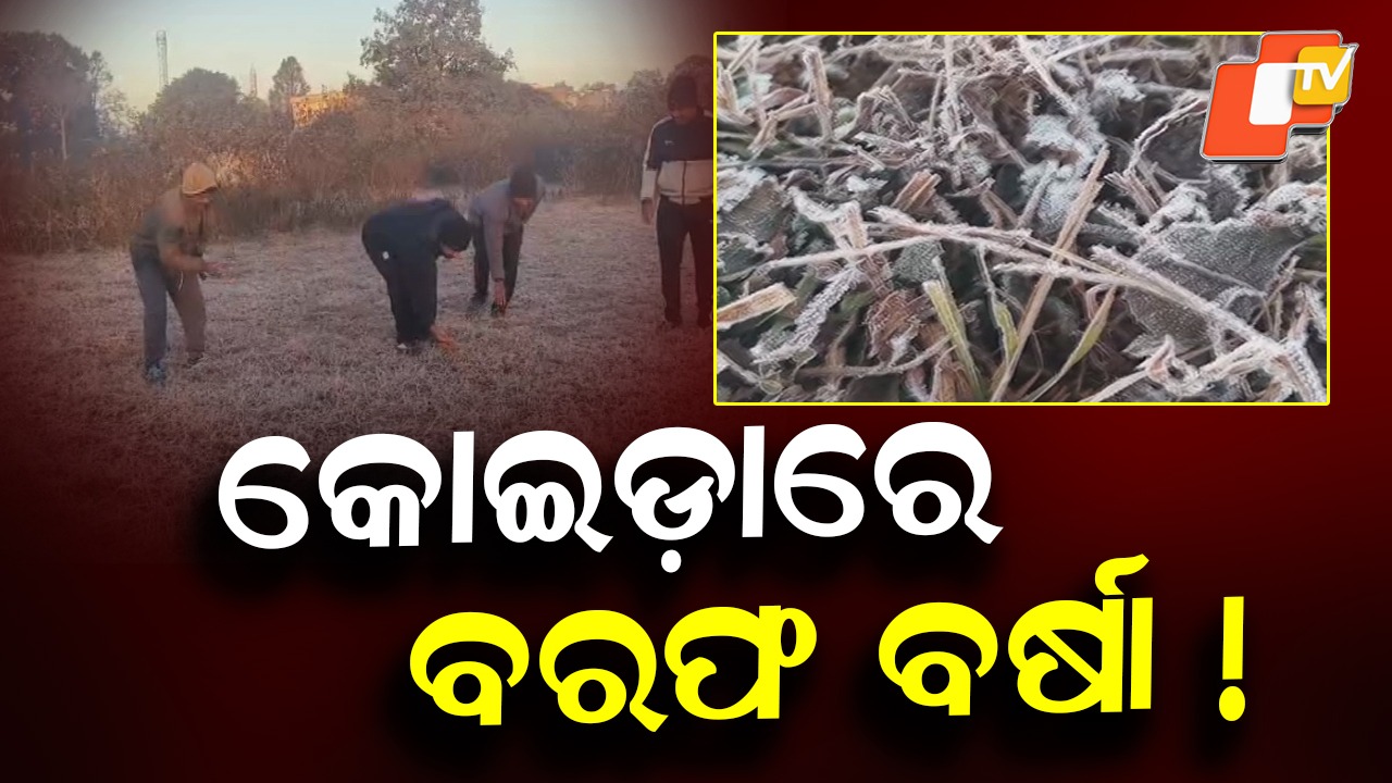 Heavy Frost in Koida: କୋଇଡାରେ ତୁଷାରପାତ, ବରଫରେ ପରିଣତ ହେଲା ରାତିର କାକର ବିନ୍ଦୁ