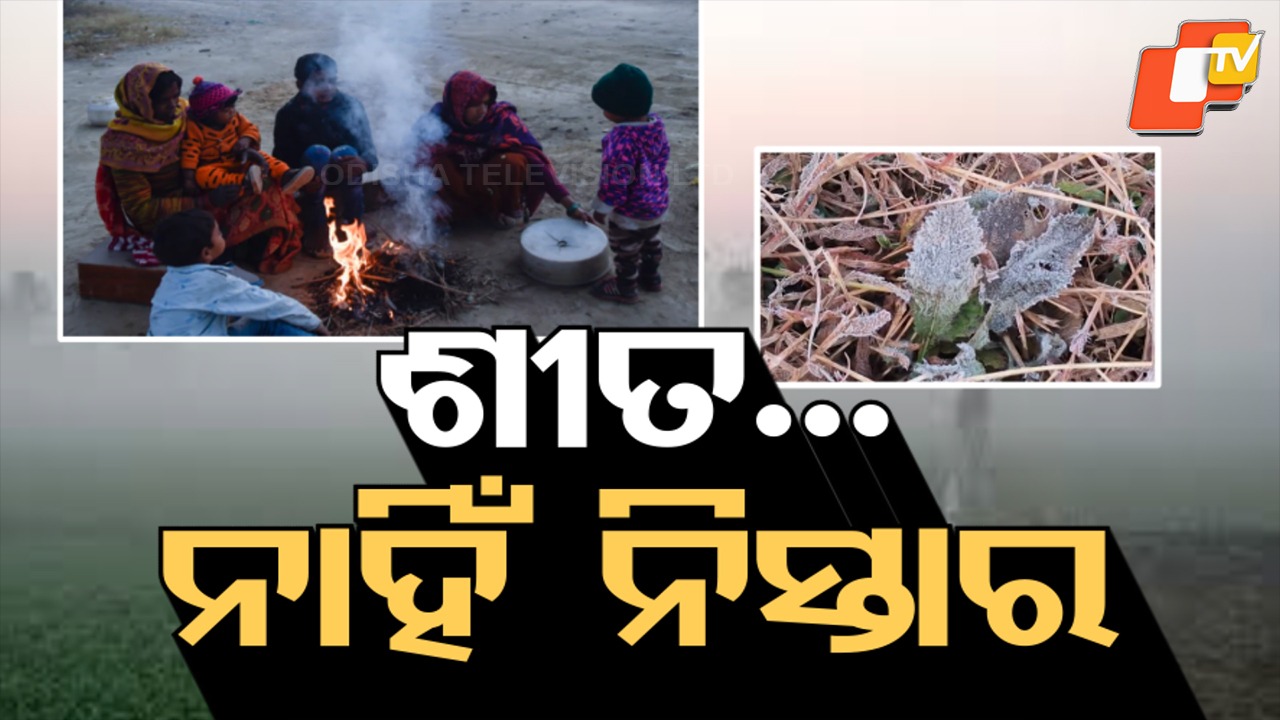 Record-Breaking Cold Wave Grips Odisha: ୨୧ ବର୍ଷର ରେକର୍ଡ ଭାଙ୍ଗିଲା କଟକ ସହରର ପାରଦ, ରାଉରକେଲା ଦେଶର ଚତୁର୍ଥ ଥଣ୍ଡା ସହର