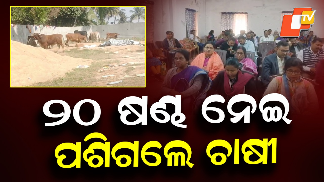 Farmers Bring Stray Bulls: ବୁଲା ଷଣ୍ଢଙ୍କ ପାଇଁ ନାକେଦମ୍,  ଜିଲ୍ଲାପାଳଙ୍କ ଜନଶୁଣାଣିରେ ଅଭିନବ ପ୍ରତିବାଦ