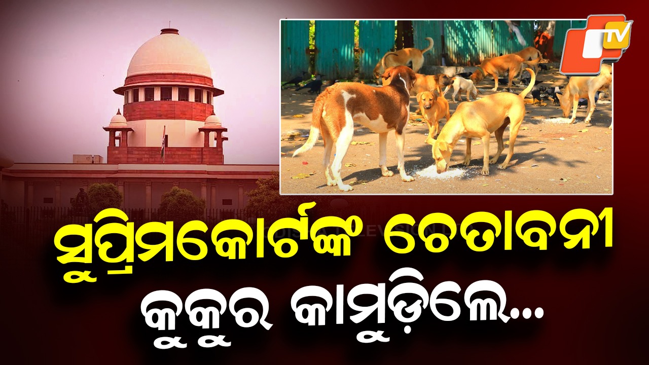 Dog Bite Cases: କୁକୁରଙ୍କୁ ଖାଇବାକୁ ଦେଉଥିବା ଲୋକେ ମଧ୍ୟ ଅଘଟଣ ପାଇଁ ଦାୟୀ ରହିବେ, କେନ୍ଦ୍ର ଓ ରାଜ୍ୟ ସରକାରଙ୍କୁ ଚେତାବନୀ ଦେଲେ ସୁପ୍ରିମକୋର୍ଟ