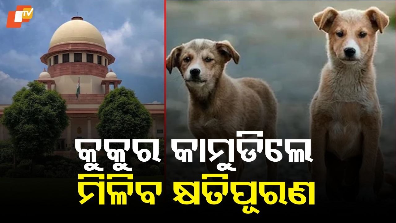 Dog Bite Tragedy: ଶିଶୁ କିମ୍ବା ବୃଦ୍ଧଙ୍କର କୁକୁର କାମୁଡ଼ାରେ ମୃତ୍ୟୁ ହେଲେ, ରାଜ୍ୟ ସରକାର ଦେବେ ବିପୁଳ କ୍ଷତିପୂରଣ