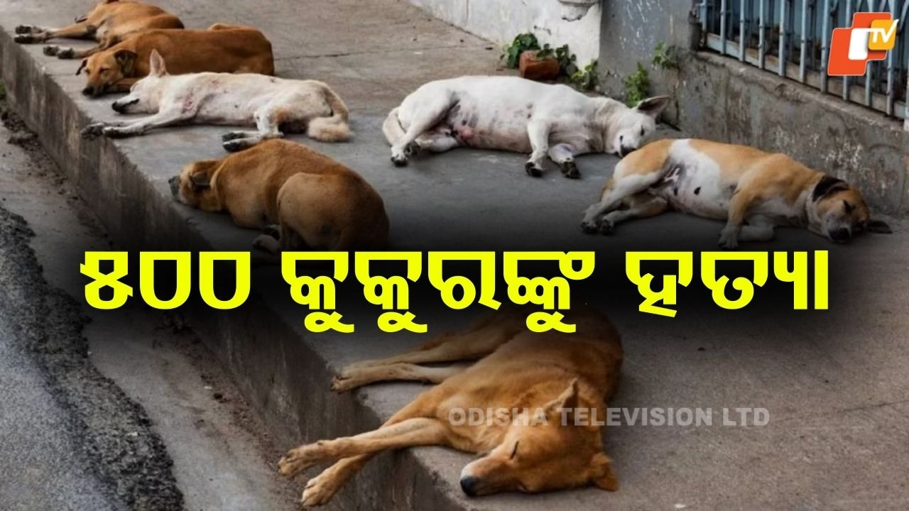 Mass Dog Killing: ସରପଞ୍ଚ ପାଲଟିଲେ ରାକ୍ଷସ; ପ୍ରତିଶ୍ରୁତି ପୂରଣ ପାଇଁ କୁକୁର ବଳି!