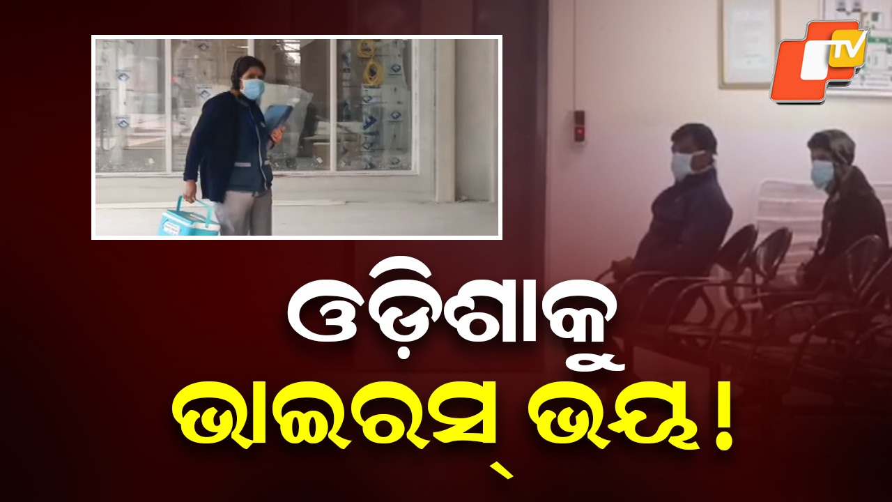 Virus Threat Looms: ମାଡ଼ି ଆସୁଛି ଭାଇରସ୍, କରିଦେବ କୋମା! ଆଲର୍ଟ ମୋଡରେ ଓଡ଼ିଶା