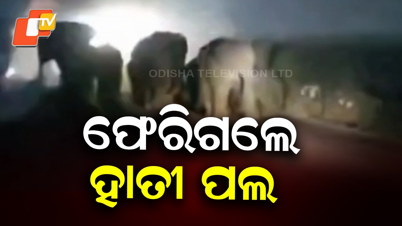 Relief for farmers: ଆଉ ନାହିଁ ଭୟ, ଚାଷୀଙ୍କୁ ମିଳିଲା ଆଶ୍ୱସ୍ତି