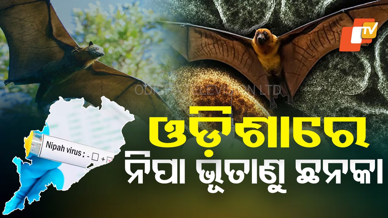 Nipah virus : ପଶ୍ଚିମବଙ୍ଗରେ ଚିହ୍ନଟ ହେଲେ ‘ନିପା ଭୂତାଣୁ’ ଆକ୍ରାନ୍ତ, ଓଡିଶାରେ ବଢିଲା ଛନକା