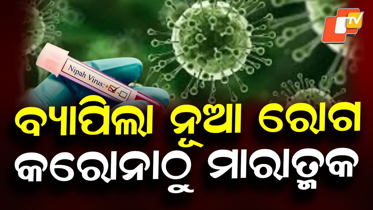 Nipah virus : ନିପା ଭାଇରସ୍‌କୁ ନେଇ ଓଡ଼ିଶାରେ ଗୁରୁତ୍ୱପୂର୍ଣ୍ଣ ବୈଠକ, ସ୍ବାସ୍ଥ୍ୟମନ୍ତ୍ରୀ କହିଲେ.....