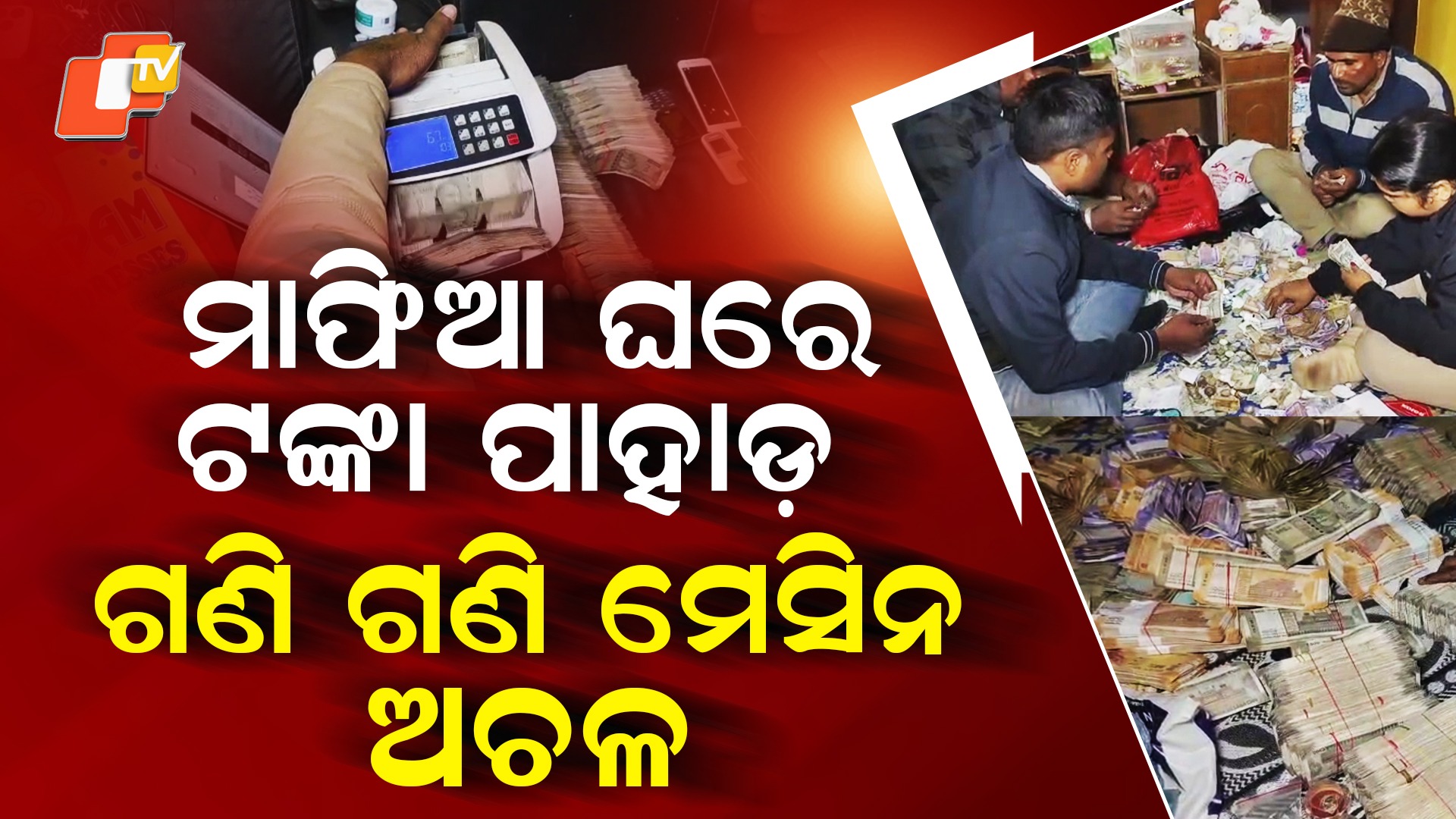 Police Raid At Cow Smuggler's House: ମାଫିଆଙ୍କ ଘରେ ଟଙ୍କାର ପାହାଡ଼... ଯେତେ ଖୋଳିଲେ, ସେତେ ବାହାରୁଛି