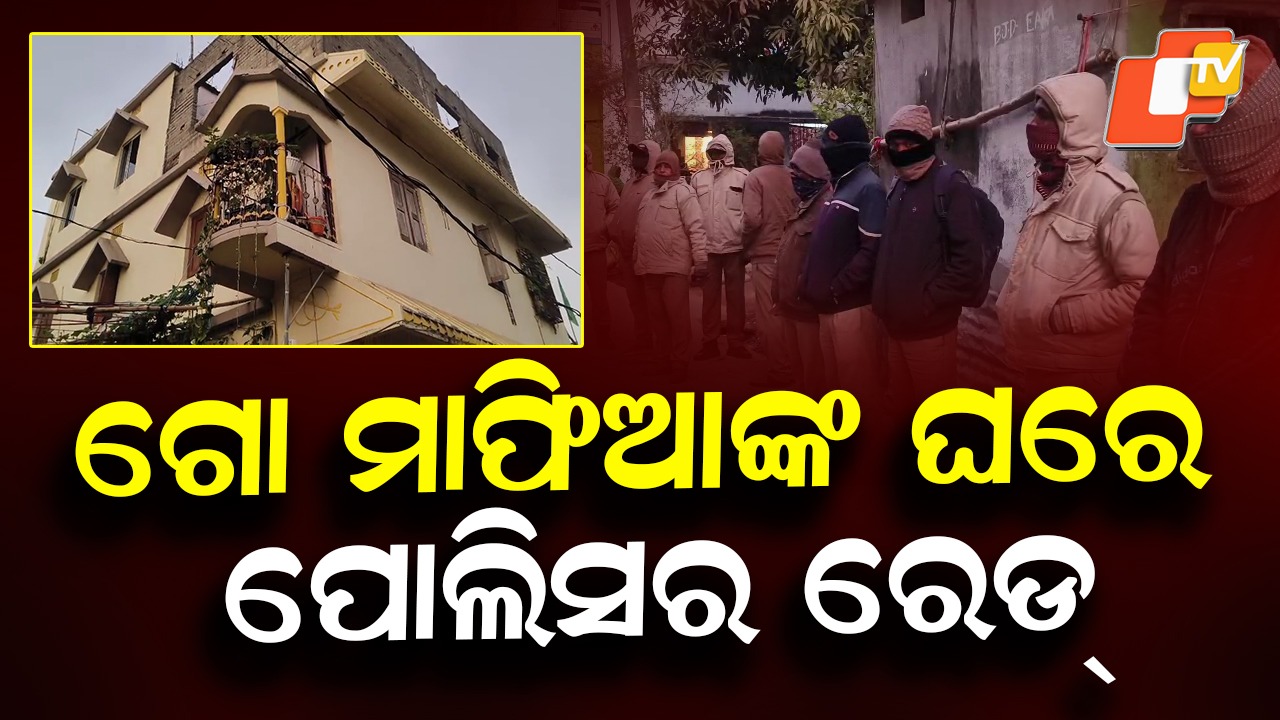 Keonjhar Police Raid Cow Mafia House: ଗୋ-ମାଫିଆ ଘରେ ବିଡ଼ା ବିଡ଼ା ନୋଟ୍, ୨ ପ୍ଲାଟୁନ୍ ଫୋର୍ସ ସହ ଚଢାଉ