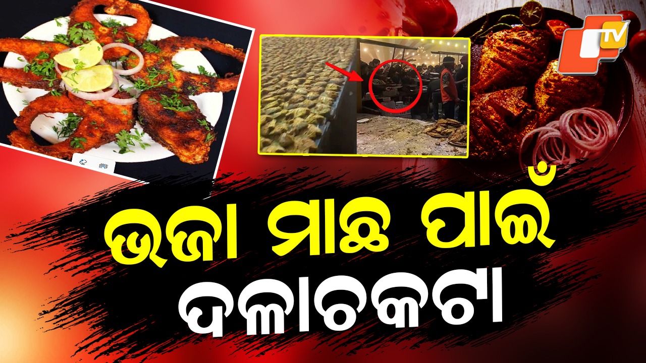 Wedding Feast Turns Chaotic: ଭଜା ମାଛ ପାଇଁ ବାଡ଼ିଆପିଟା, ମାଡ଼ି ଆସିଲେ ଲୋକେ, ଭିଡିଓ ଭାଇରାଲ