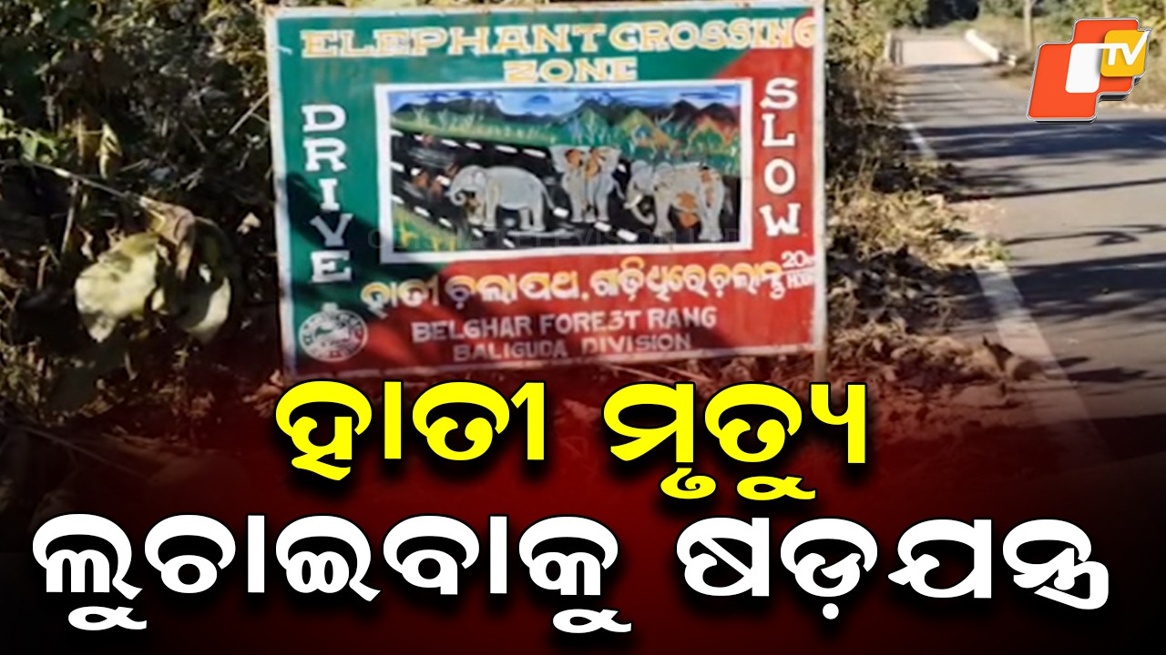 Shocking Truth Behind Elephant Death: ହାତୀ ମୃତ୍ୟୁକୁ ନେଇ ସଂଘାତିକ କାଣ୍ଡ,  ଖଣ୍ଡ ଖଣ୍ଡ କରି ପୋତି ଦେଲେ!