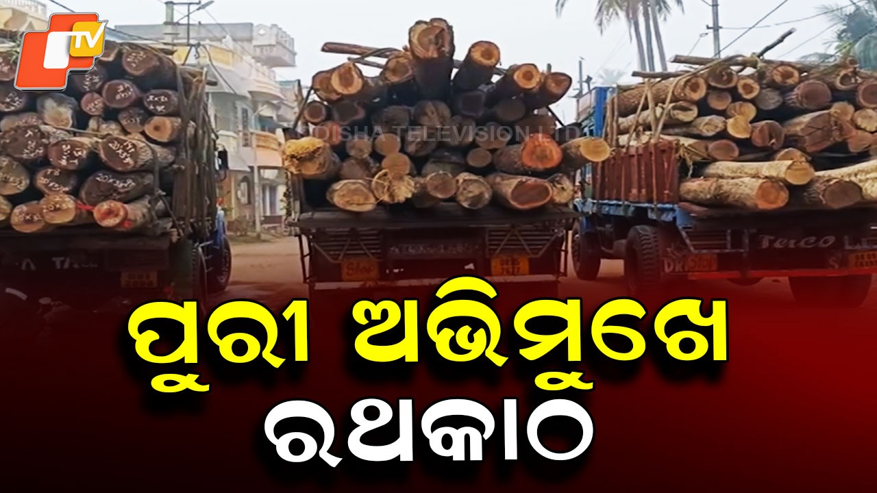Rath Timber Dispatched: ଦଶପଲ୍ଲାରୁ ପୁରୀ, ୩ଟି ଟ୍ରକରେ ଗଲା ୮୩ ଖଣ୍ଡ ରଥ କାଠ