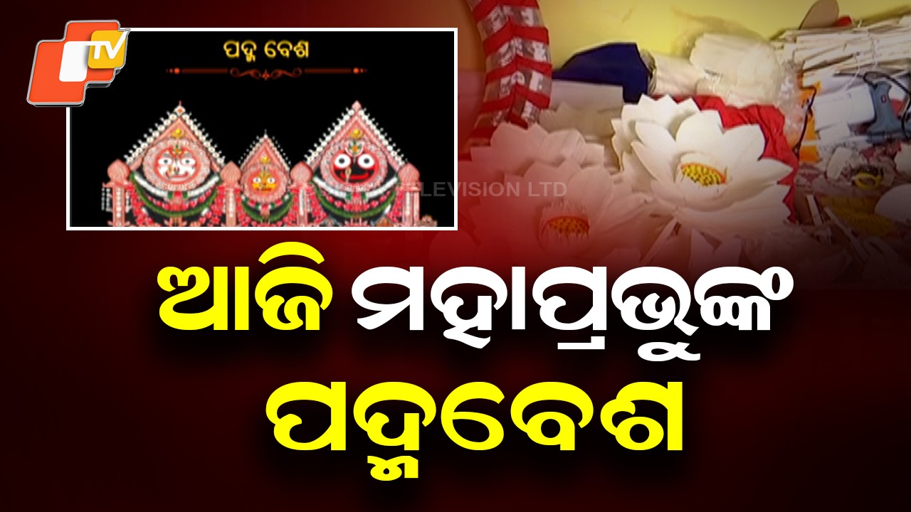 Badasinghara Niti: ଆଜି ମହାପ୍ରଭୁଙ୍କ ଦିବ୍ୟ ଦୁର୍ଲଭ ପଦ୍ମବେଶ