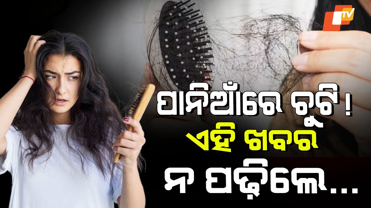 How To Check If Hair Fall is Normal: ଆପଣଙ୍କ ଚୁଟି ଝଡୁଛି କି… ଏହା ବଡ଼ ରୋଗର କାରଣ ନୁହେଁ ତ… ଜାଣନ୍ତୁ